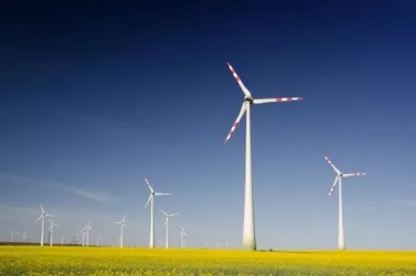 Casi la totalidad de la electricidad que consume el Grupo BBVA es de origen renovable