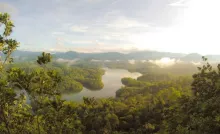 La COP16 retoma negociaciones cruciales: La biodiversidad y 3000 millones de vidas en riesgo