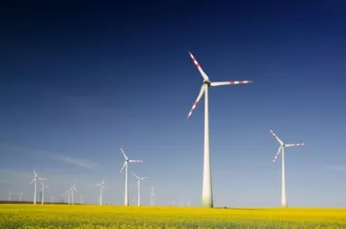 Casi la totalidad de la electricidad que consume el Grupo BBVA es de origen renovable