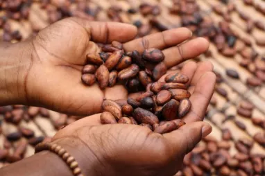 Fairtrade insta a la Comisión Europea a que promueva un sector del cacao más sostenible