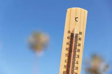 Aumentaron un 30% las muertes por olas de calor en Europa