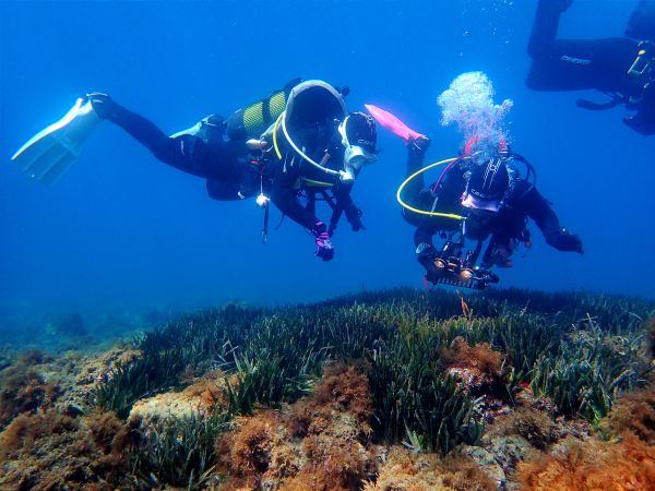 La próxima revolución económica nace en el mar