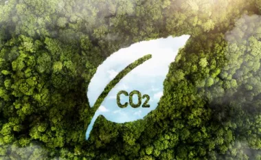 Atrapa el carbono y transforma la industria