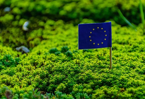 La importancia de la sostenibilidad en las inversiones: ¿Crearán los fondos europeos una economía más verde?