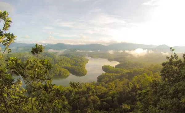 La COP16 retoma negociaciones cruciales: La biodiversidad y 3000 millones de vidas en riesgo