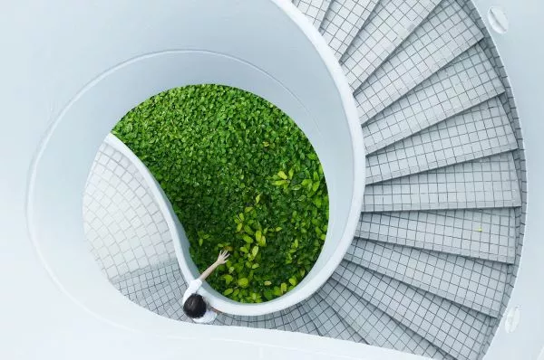  Las cinco tendencias ESG en 2023