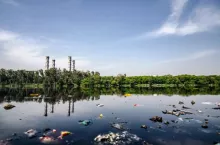Naciones Unidas insta a fortalecer la legislación contra los delitos ambientales