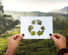 Optimizar rendimiento y responsabilidad: el impacto positivo del reciclaje en la empresa