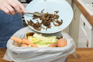 Dejar de desperdiciar alimentos es una prioridad máxima