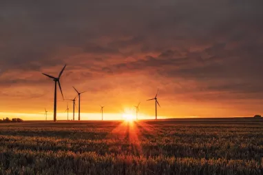La OMS alerta sobre la necesidad de invertir en energías renovables