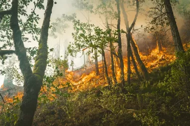 Cinco recomendaciones para prevenir incendios en la naturaleza