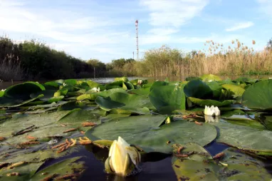 La Laguna Primera de Palos, referente de la recuperación medioambiental en Europa