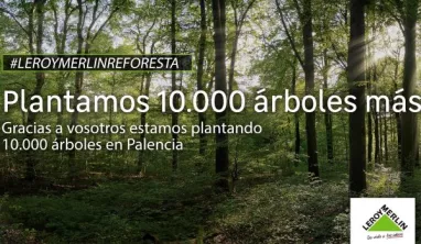 Palencia tendrá 10.000 nuevos árboles gracias a la campaña de Leroy Merlin  