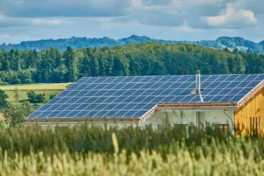 Paneles solares: ¿Cómo funcionan y de qué modo instalarlos en casa?