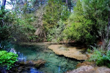España invertirá en la conservación y mejora ambiental de Reservas Naturales Fluviales