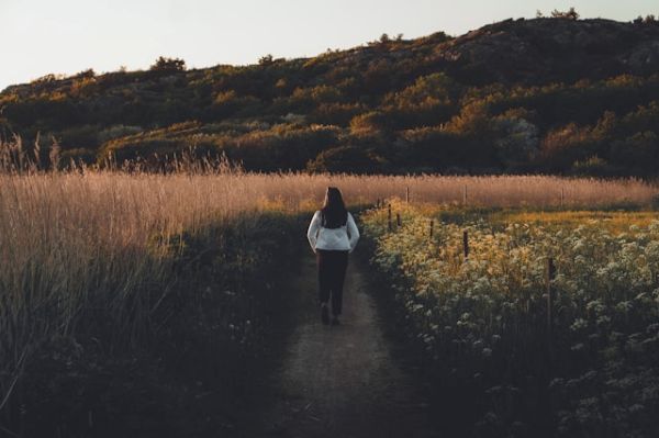 Entre flujos anda el juego: una reflexión sobre la confianza como motor del cambio social