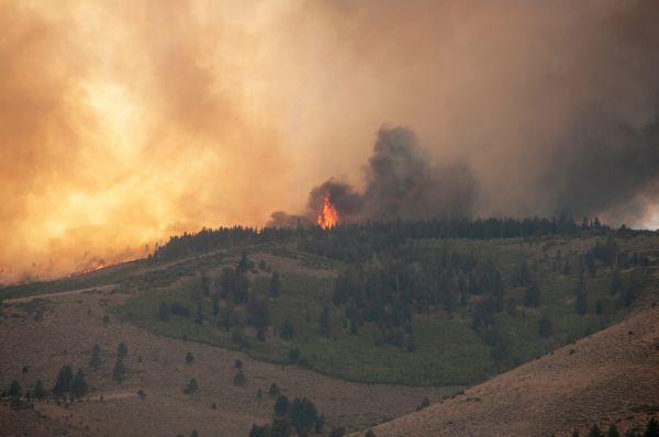 Apagar el fuego antes de que se encienda: la unidad que le falta al monte español