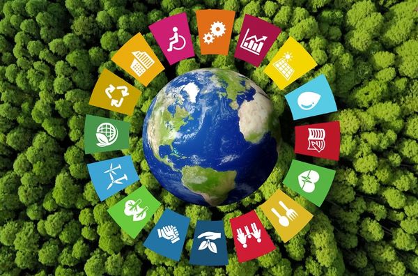 Cómo se alinea la inversión de impacto con los Objetivos de Desarrollo Sostenible de la ONU