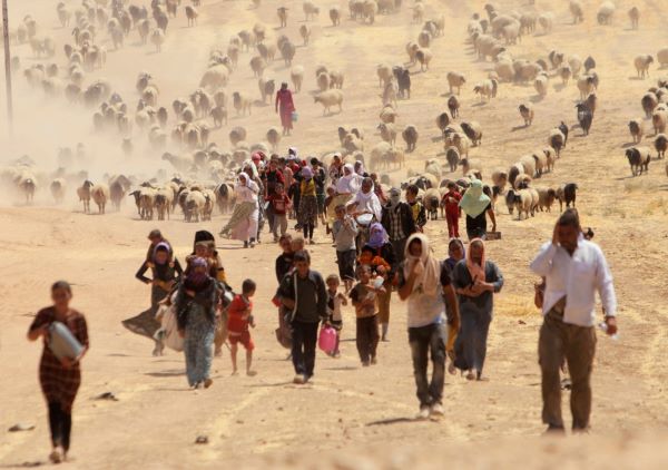 Cambio climático, inseguridad y violencia, los principales motivos para migrar