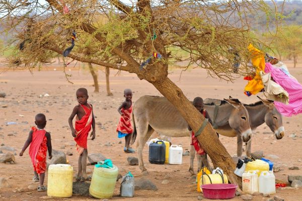 La peor sequía de los últimos 20 años amenaza el Cuerno de África