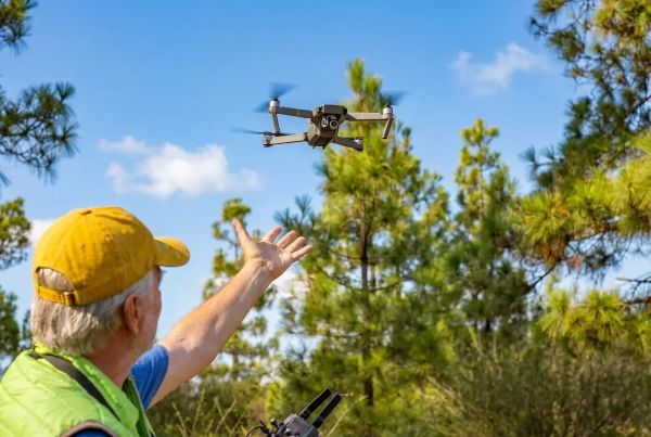  Cómo la IA acelera el monitoreo de proyectos de restauración ecológica
