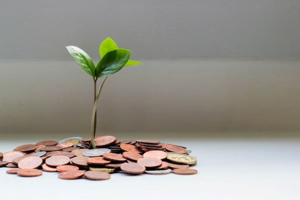 ESG: palanca para la inclusión financiera y el emprendimiento