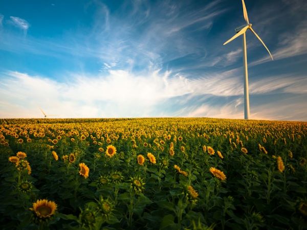 El Foro Empresarial y Filantrópico sobre el Clima de la COP28 busca acelerar la transición energética