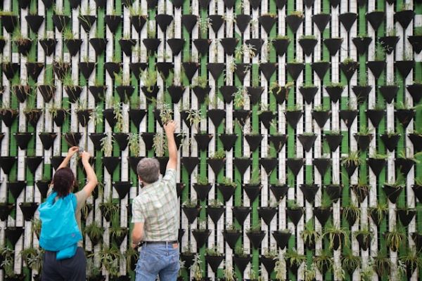 Comunidades energéticas, el escudo ciudadano contra el calor y la crisis climática