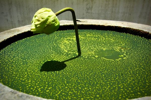 Greenwashing: cuando parecer sostenible no basta