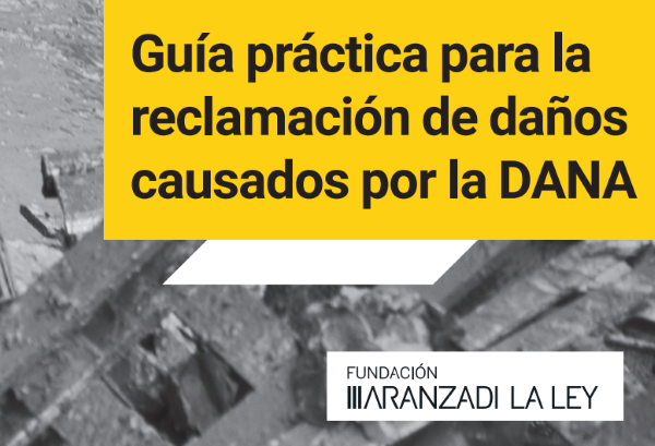 Paso a paso cómo reclamar ayudas y compensaciones por los daños de la DANA