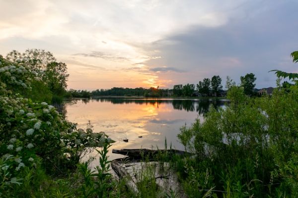 Ecologismo y humedales por necesidad