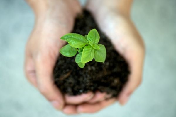 Invertir en sostenibilidad no es moda, es concienciación