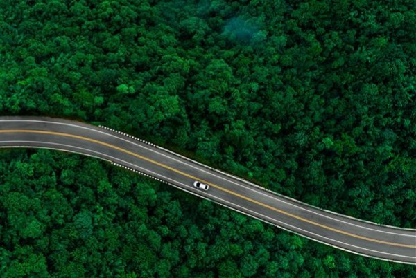 La sostenibilidad y el camino hacia la neutralidad en carbono